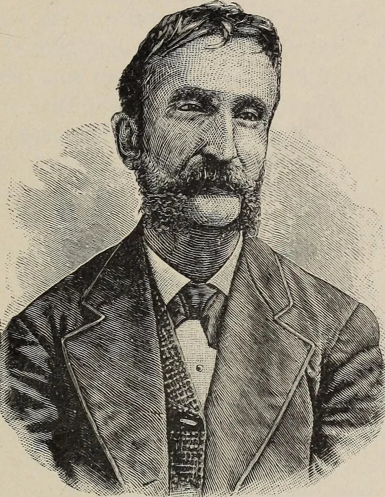 An illustration from A treatise on human nature and physiognomy, 1882, leaf 206