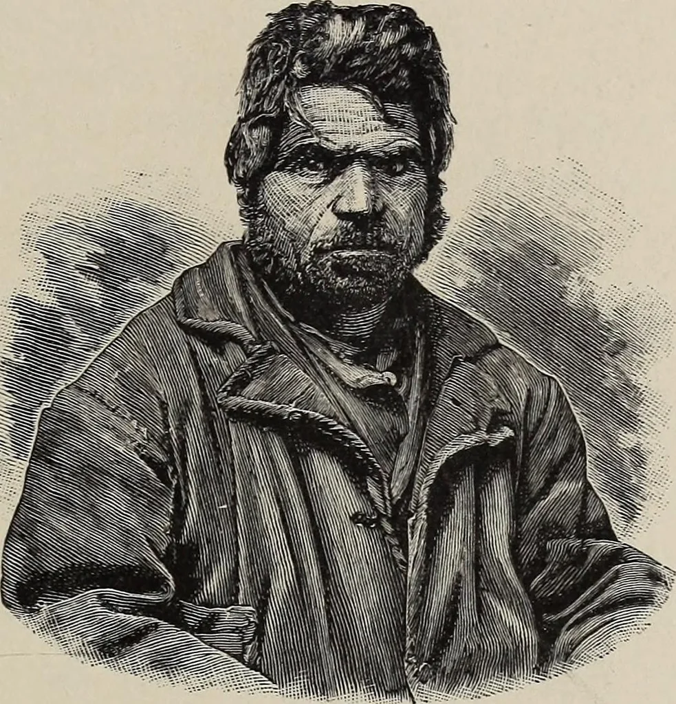 An illustration from A treatise on human nature and physiognomy, 1882, leaf 224
