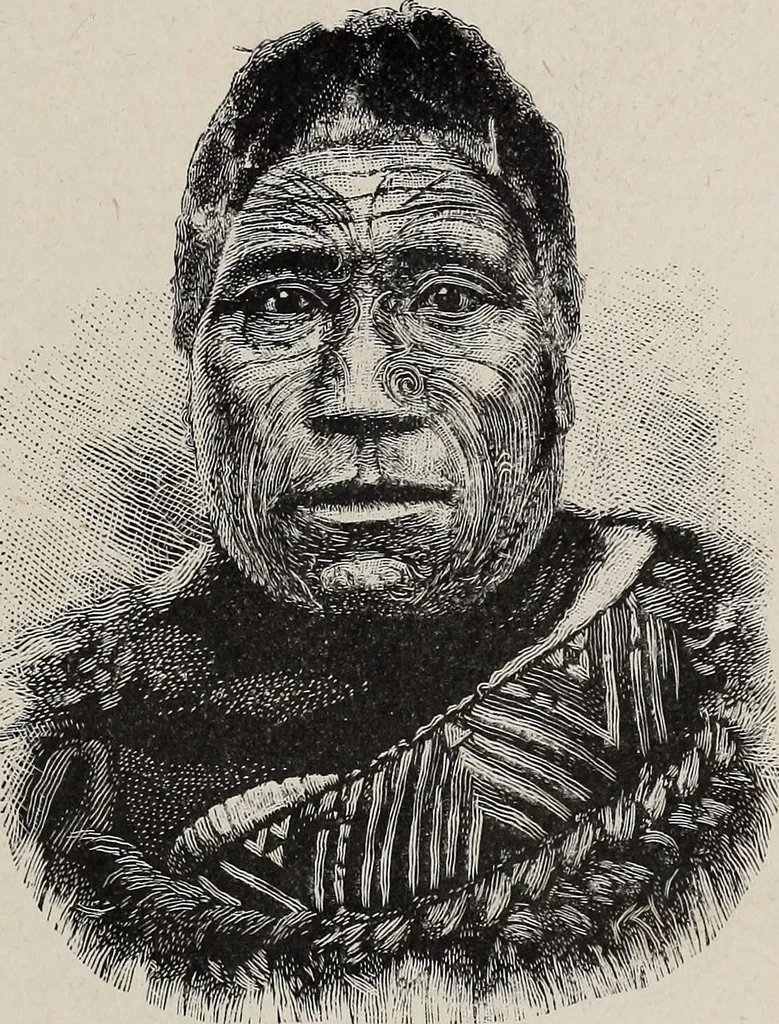 An illustration from A treatise on human nature and physiognomy, 1882, leaf 230