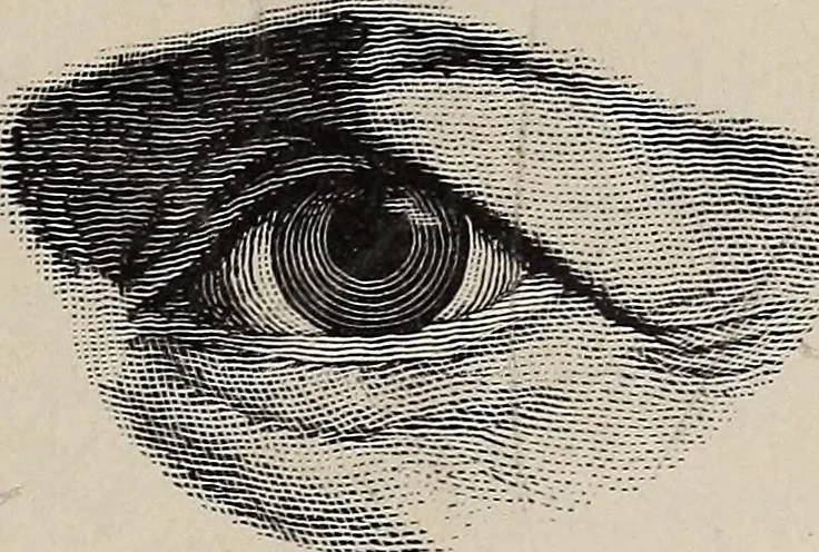 An illustration from A treatise on human nature and physiognomy, 1882, leaf 314