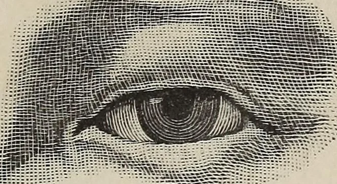 An illustration from A treatise on human nature and physiognomy, 1882, leaf 314