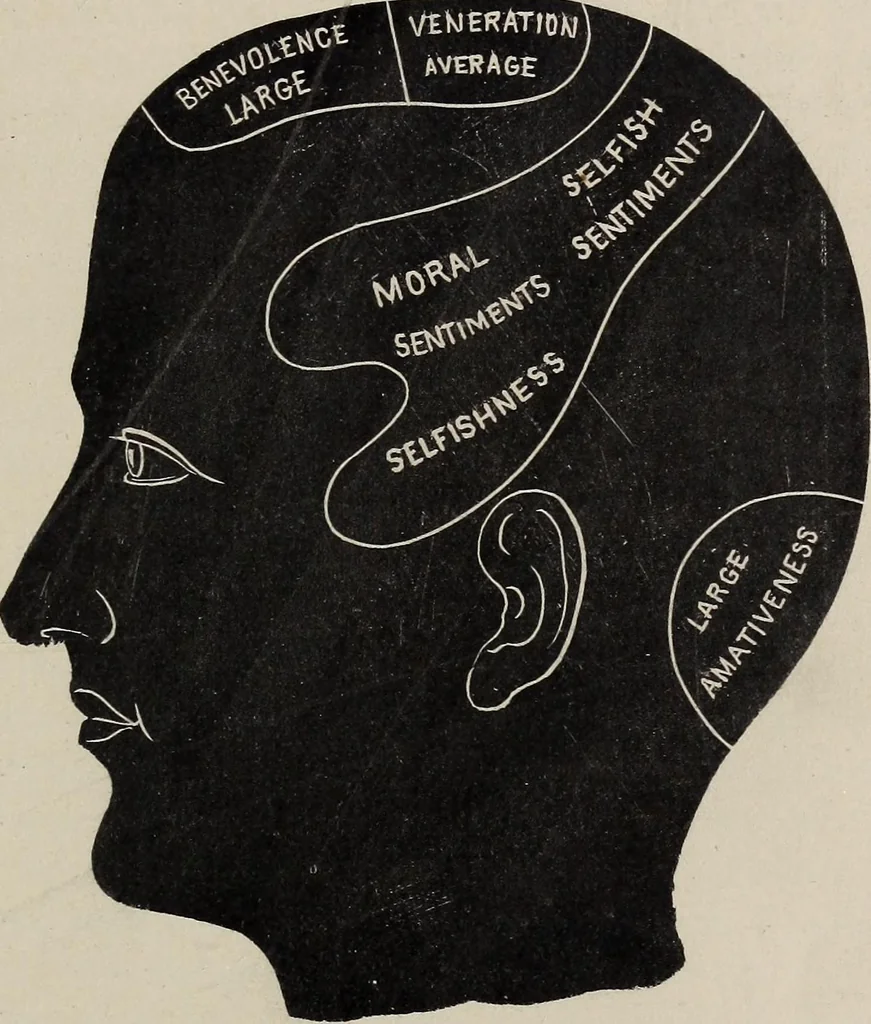 An illustration from A treatise on human nature and physiognomy, 1882, leaf 344