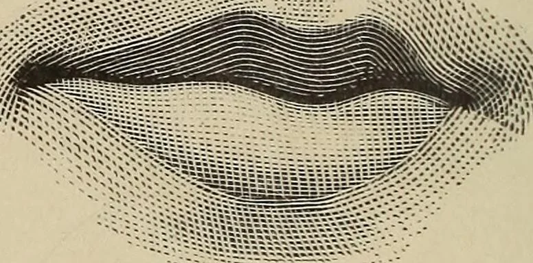 An illustration from A treatise on human nature and physiognomy, 1882, leaf 53