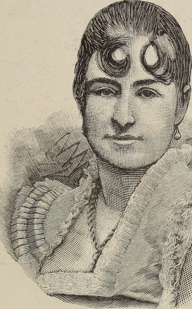An illustration from A treatise on human nature and physiognomy, 1882, leaf 562