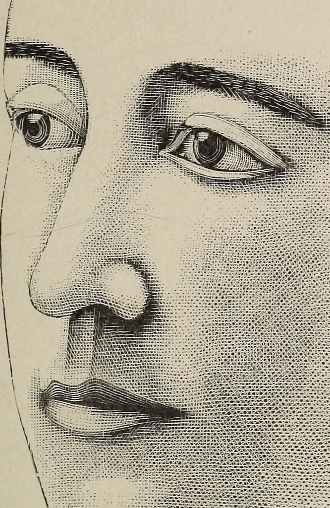 An illustration from A treatise on human nature and physiognomy, 1882, leaf 574