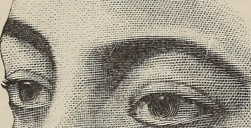 An illustration from A treatise on human nature and physiognomy, 1882, leaf 574