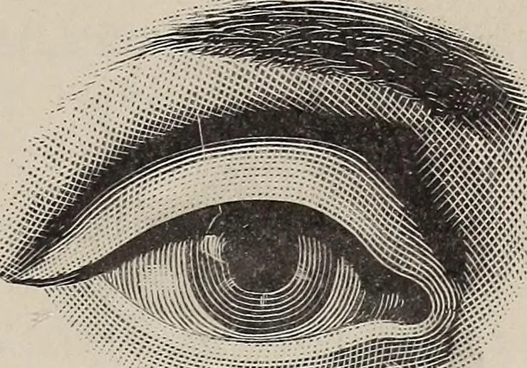 An illustration from A treatise on human nature and physiognomy, 1882, leaf 590