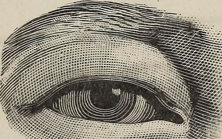 An illustration from A treatise on human nature and physiognomy, 1882, leaf 590