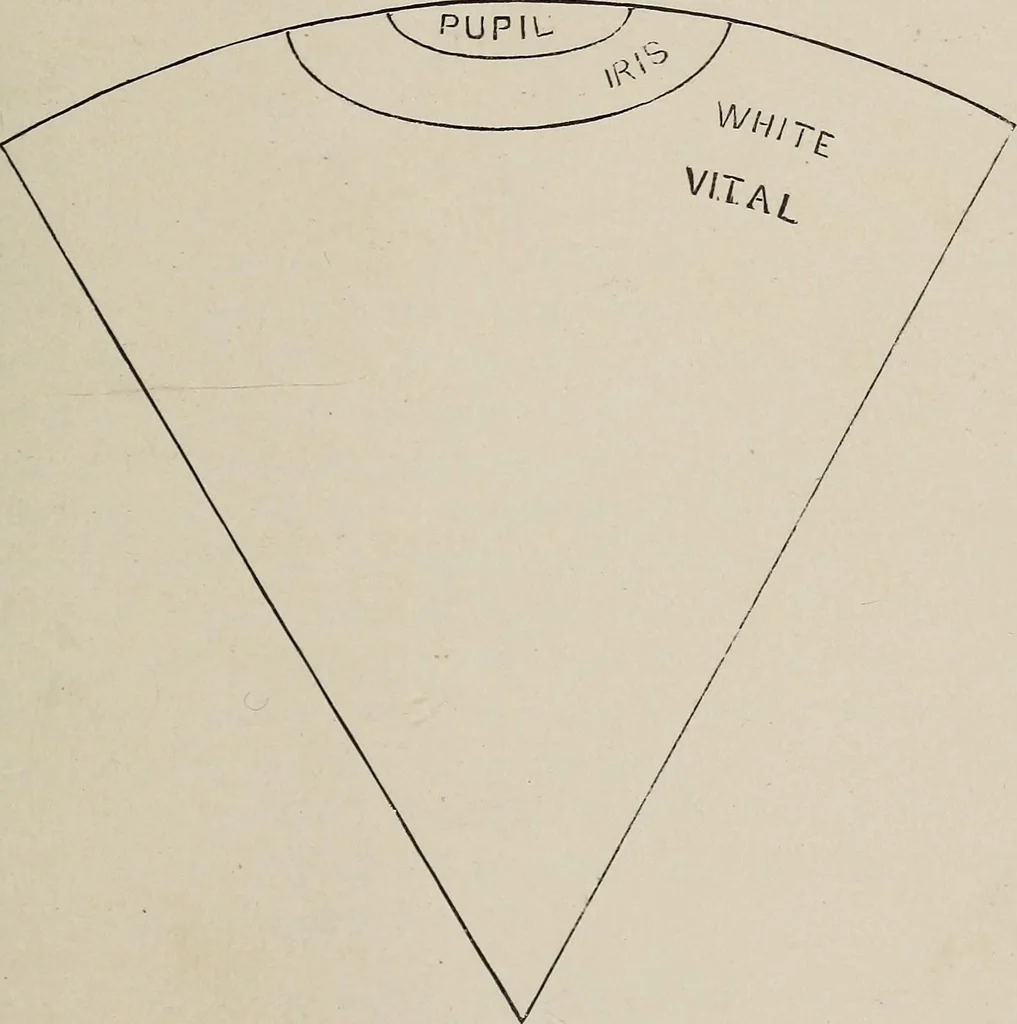 An illustration from A treatise on human nature and physiognomy, 1882, leaf 600