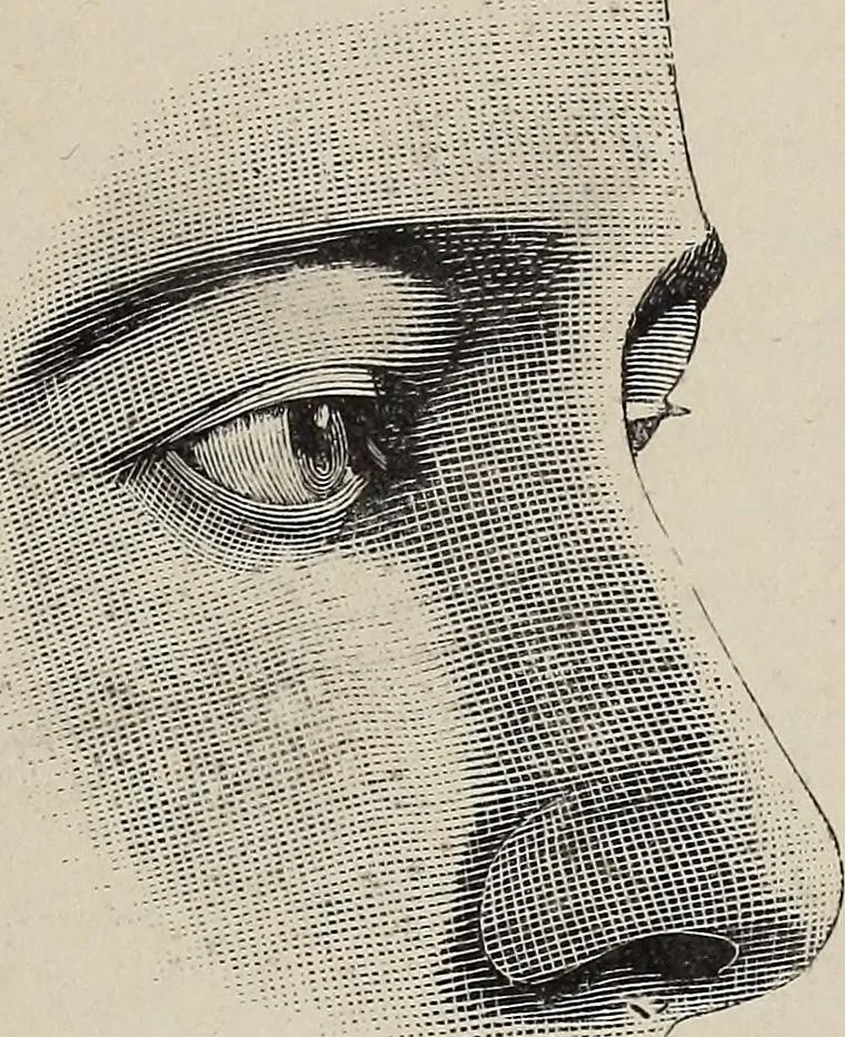 An illustration from A treatise on human nature and physiognomy, 1882, leaf 632