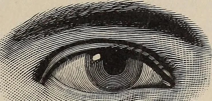 An illustration from A treatise on human nature and physiognomy, 1882, leaf 66