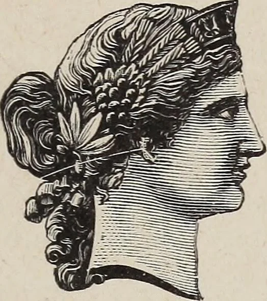 An illustration from A treatise on human nature and physiognomy, 1882, leaf 700