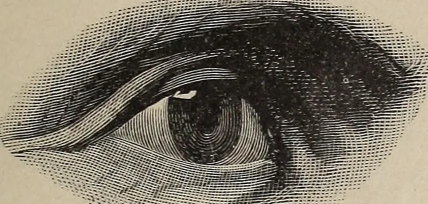 An illustration from A treatise on human nature and physiognomy, 1882, leaf 72