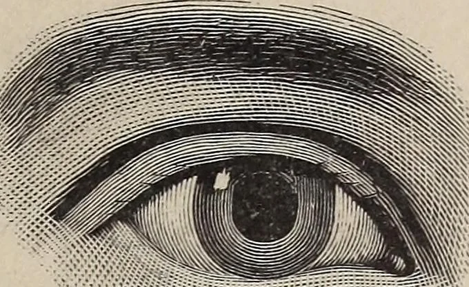 An illustration from A treatise on human nature and physiognomy, 1882, leaf 72