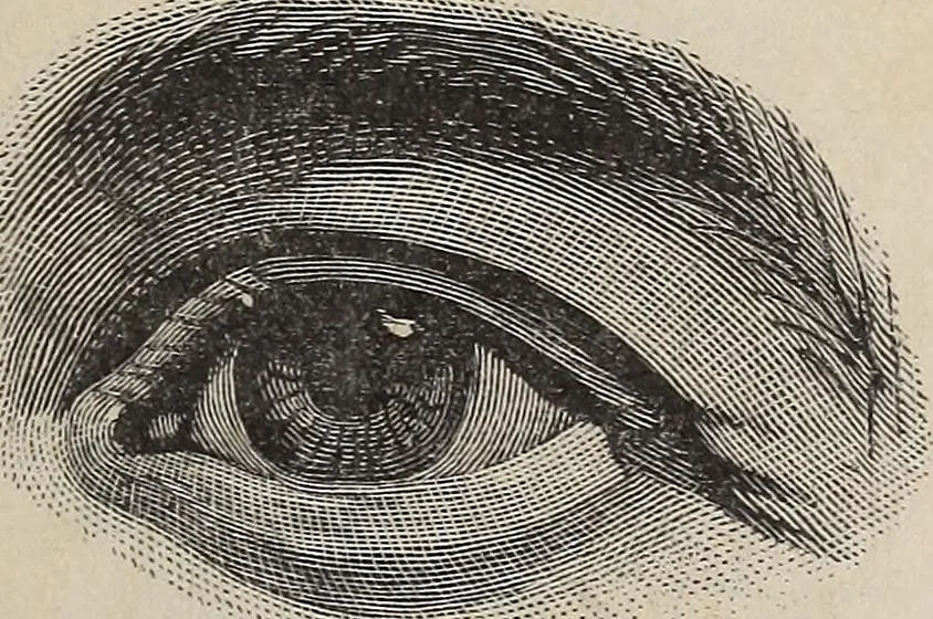 An illustration from A treatise on human nature and physiognomy, 1882, leaf 72