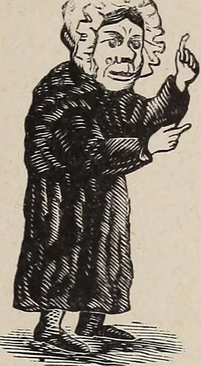 An illustration from A treatise on human nature and physiognomy, 1882, leaf 726