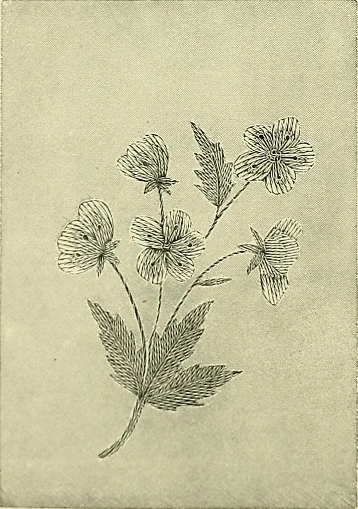 An illustration from A treatise on lace-making, embroidery, and needle-work with Irish flax threads, 1892, leaf 107