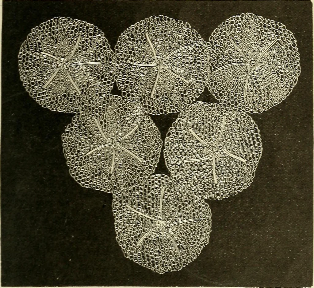 An illustration from A treatise on lace-making, embroidery, and needle-work with Irish flax threads, 1892, leaf 126
