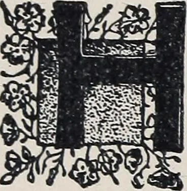 An illustration from A treatise on lace-making, embroidery, and needle-work with Irish flax threads, 1892, leaf 37