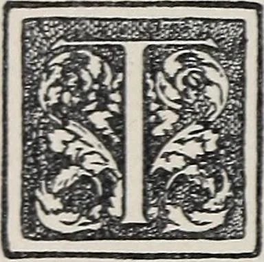 An illustration from A treatise on lace-making, embroidery, and needle-work with Irish flax threads, 1892, leaf 55
