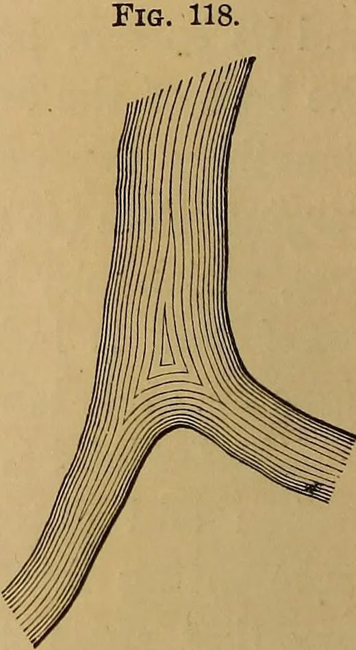 An illustration from A treatise on levelling, topography, and higher surveying, 1876, leaf 119