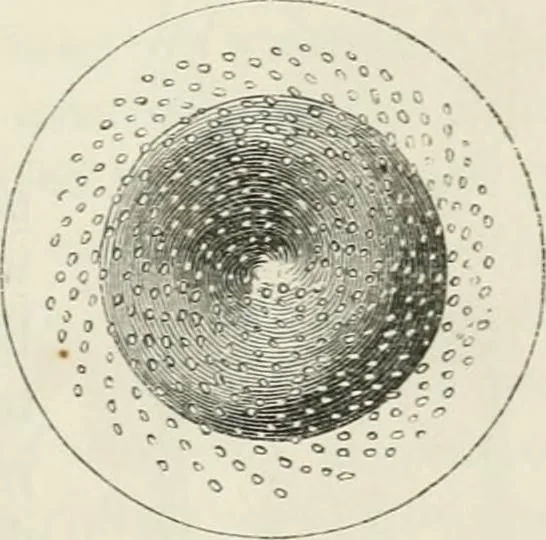 An illustration from Treatise on mills and mill work, 1861, leaf 192
