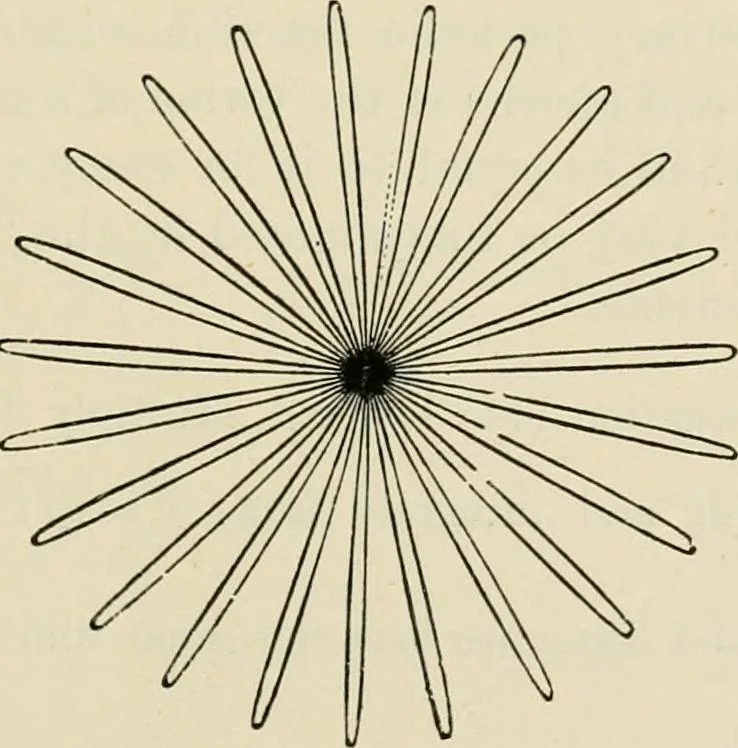 An illustration from Treatise on natural philosophy, 1912, leaf 76