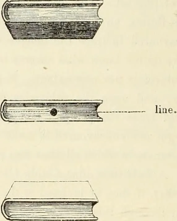 An illustration from A treatise on painting : In four parts ... The whole illustrated by examples from the Italian, Venetian, Flemish, and Dutch schools, 1837, leaf 25