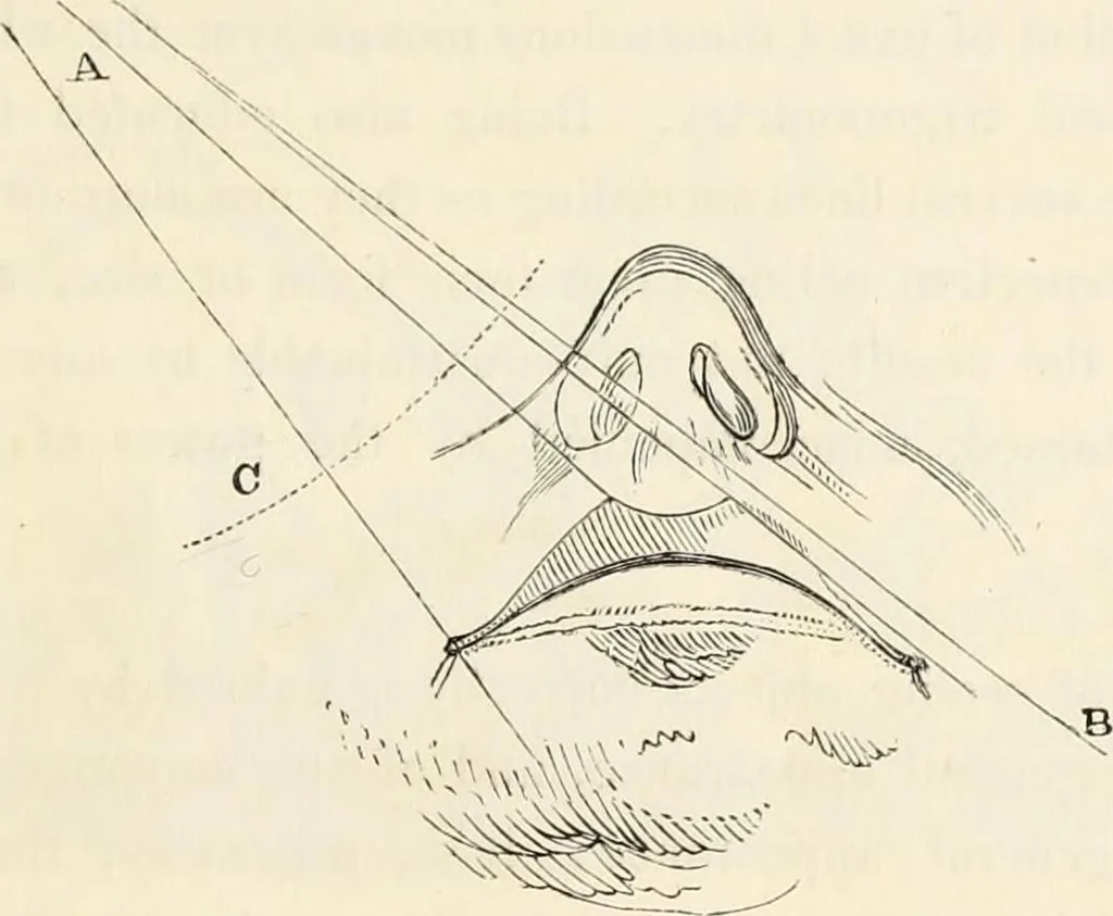 An illustration from A treatise on painting : In four parts ... The whole illustrated by examples from the Italian, Venetian, Flemish, and Dutch schools, 1837, leaf 36