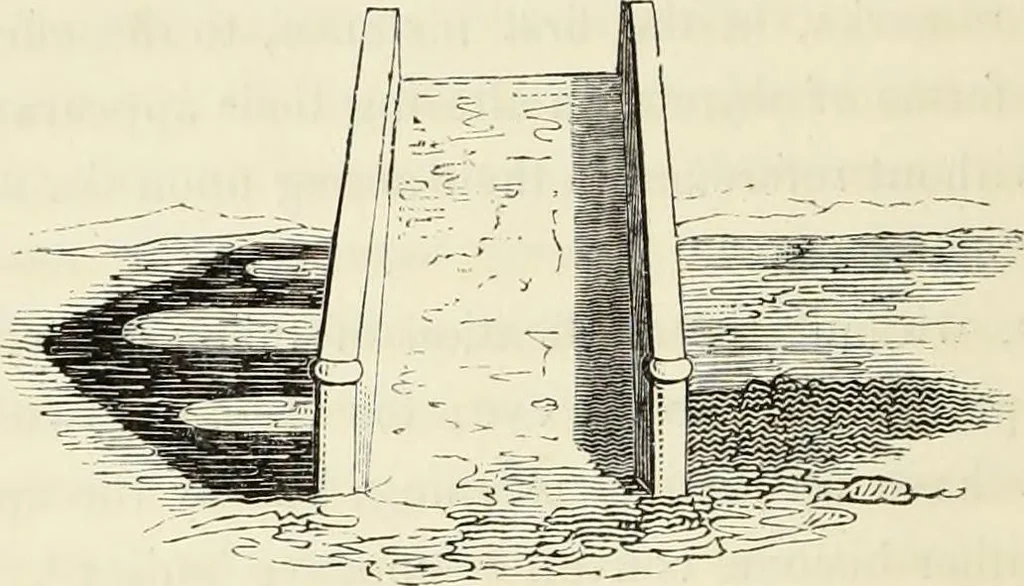 An illustration from A treatise on painting : In four parts ... The whole illustrated by examples from the Italian, Venetian, Flemish, and Dutch schools, 1837, leaf 55