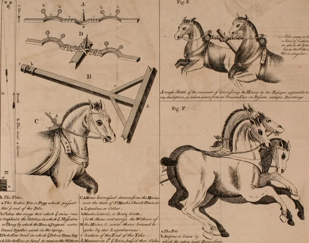 An illustration from A treatise on the study of antiquities as the commentary to historical learning, sketching out a general line of research, also marking and explaining some of the desiderata. With an appendix. N I. On the elements of speach. N II. On the origin of written language, picture, hieroglyphic, and elementary-writing. N III. On the ships of the ancients. N IV. On the chariots of the ancients, 1782, leaf 319