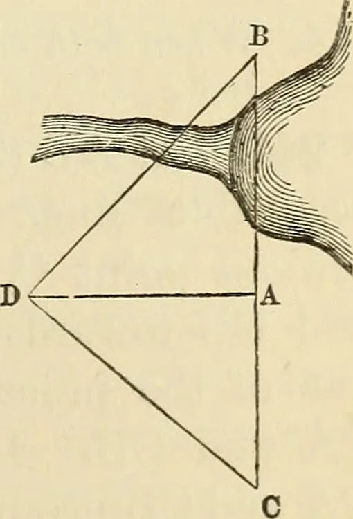 An illustration from A treatise on surveying ; in which the theory and practice are fully explained, 1860, leaf 136