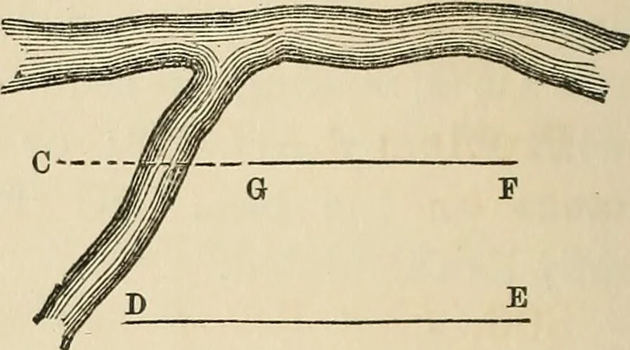 An illustration from A treatise on surveying ; in which the theory and practice are fully explained, 1860, leaf 183