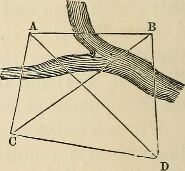 An illustration from A treatise on surveying ; in which the theory and practice are fully explained, 1860, leaf 187