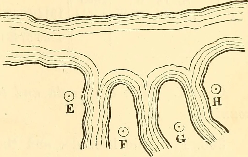 An illustration from A treatise on surveying, comprising the theory and the practice ;, 1887, leaf 272
