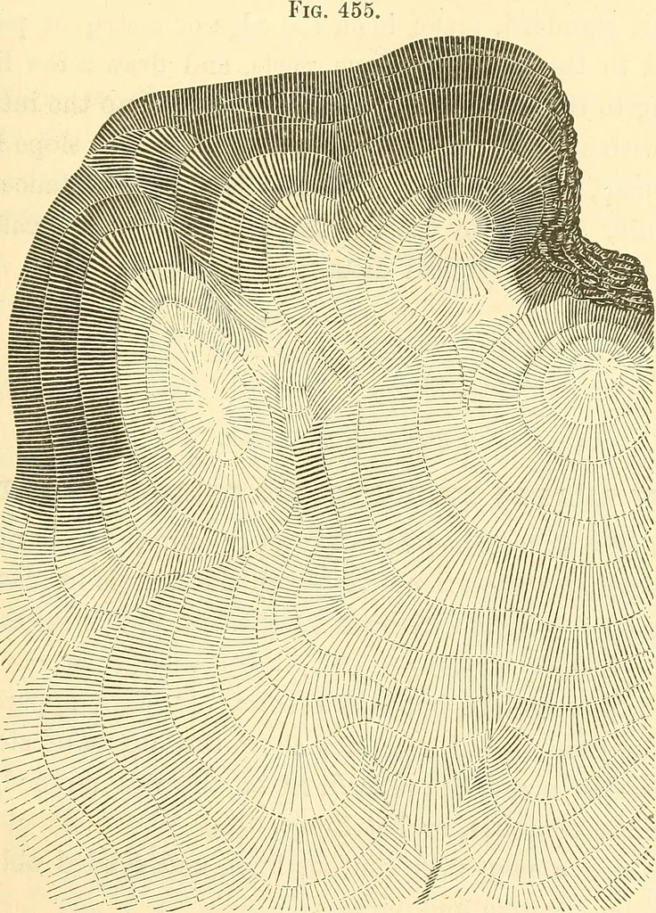 An illustration from A treatise on surveying, comprising the theory and the practice ;, 1887, leaf 436
