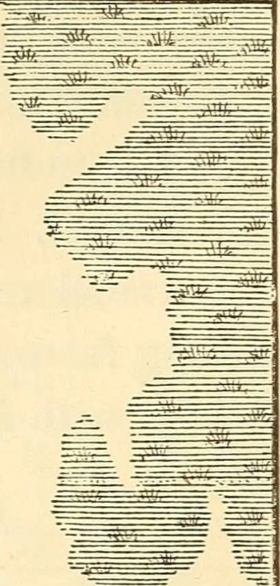 An illustration from A treatise on surveying, comprising the theory and the practice ;, 1887, leaf 441