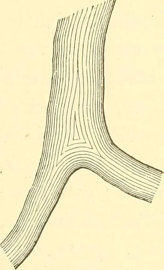 An illustration from A treatise on surveying, comprising the theory and the practice ;, 1887, leaf 442