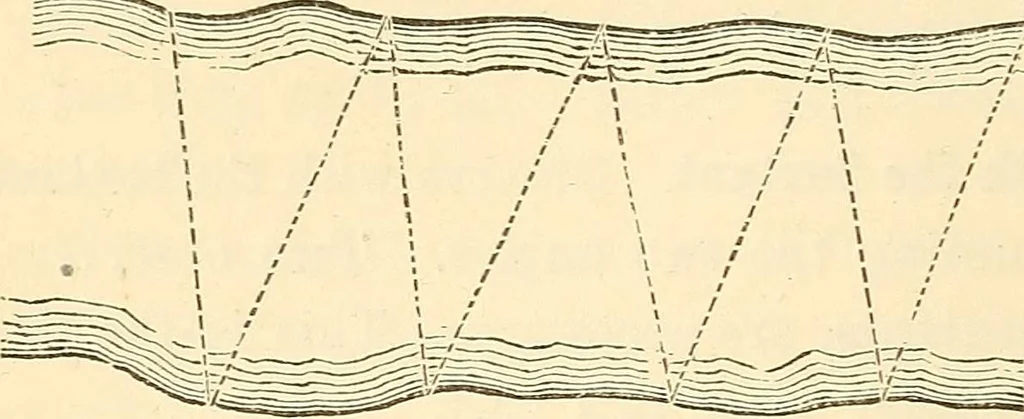 An illustration from A treatise on surveying, comprising the theory and the practice ;, 1887, leaf 509