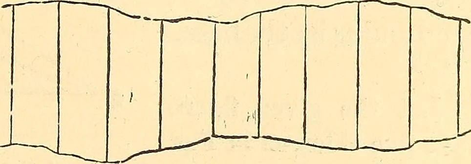 An illustration from A treatise on surveying, comprising the theory and the practice ;, 1887, leaf 58