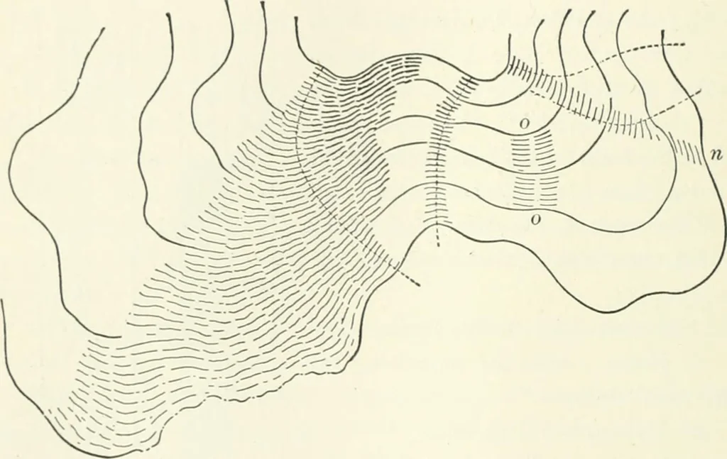 An illustration from A treatise on surveying, comprising the theory and the practice, 1906, leaf 363