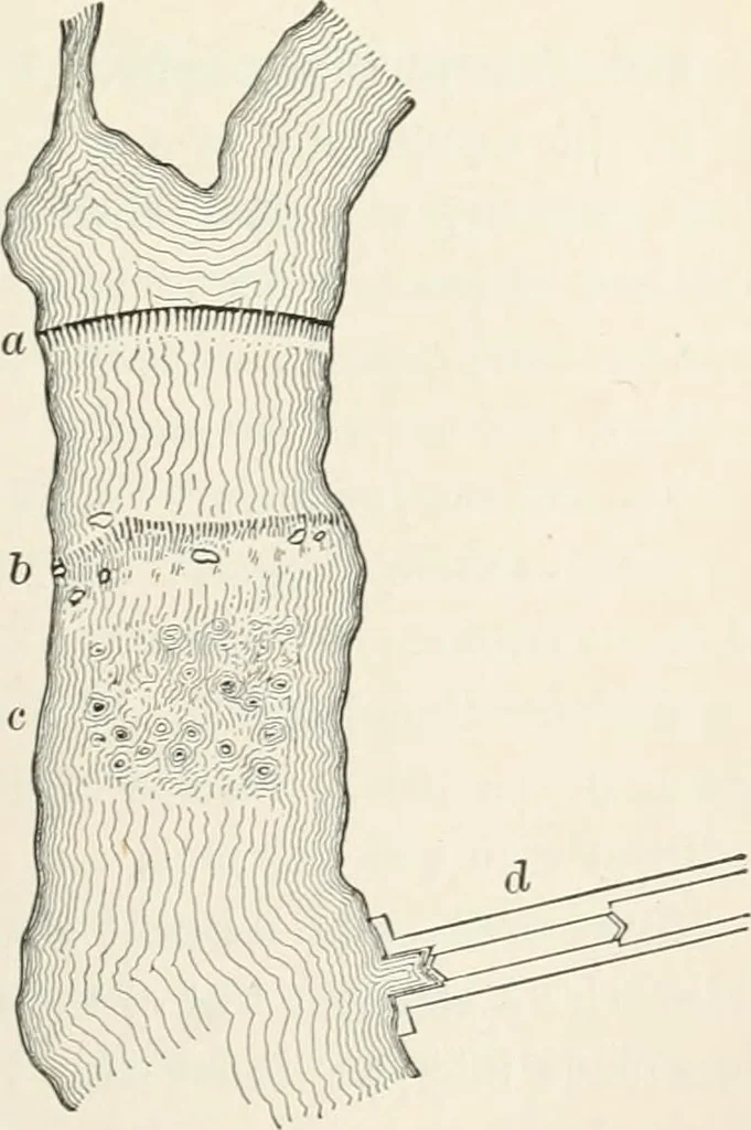 An illustration from A treatise on surveying, comprising the theory and the practice, 1906, leaf 382