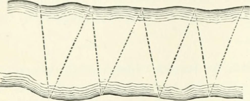 An illustration from A treatise on surveying, comprising the theory and the practice, 1906, leaf 407