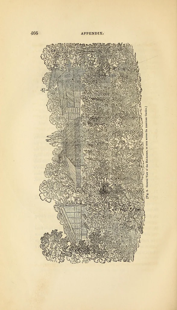 An illustration from A treatise on the theory and practice of landscape gardening, adapted to North America; with a view to the improvement of country residences. Comprising historical notices and general principles of the art, directions for laying out gardens and arranging plantations, the description and cultivation of hardy trees, decorative accompaniments to the house and grounds, the formation of pieces of artificial water, flower gardens, etc., with remarks on rural architecture, 1844, leaf 514