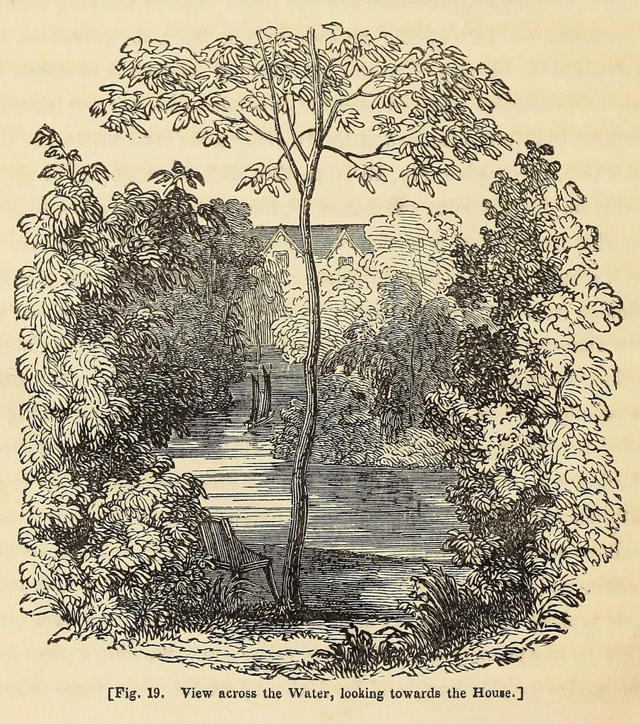 An illustration from A treatise on the theory and practice of landscape gardening, adapted to North America; with a view to the improvement of country residences. Comprising historical notices and general principles of the art, directions for laying out gardens and arranging plantations, the description and cultivation of hardy trees, decorative accompaniments to the house and grounds, the formation of pieces of artificial water, flower gardens, etc., with remarks on rural architecture, 1844, leaf 538