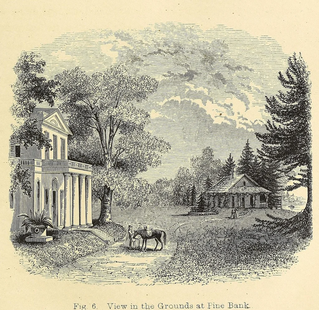 An illustration from A treatise on the theory and practice of landscape gardening, adapted to North America; with a view to the improvement of country residences. Comprising historical notices and general principles of the art, directions for laying out gardens and arranging plantations, the description and cultivation of hardy trees, decorative accompaniments to the house and grounds, the formation of pieces of artificial water, flower gardens, etc., with remarks on rural architecture, 1844, leaf 61