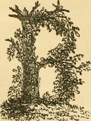 An illustration from A treatise on the theory and practice of landscape gardening, adapted to North America; with a view to the improvement of country residences. Comprising historical notices and general principles of the art, directions for laying out grounds and arranging plantations, the description and cultivation of hardy trees, decorative accompaniments to the house and grounds, the formation of pieces of artificial water, flower gardens, etc. with remarks on rural architecture .., 1841, leaf 39