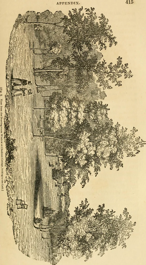 An illustration from A treatise on the theory and practice of landscape gardening, adapted to North America; with a view to the improvement of country residences. Comprising historical notices and general principles of the art, directions for laying out grounds and arranging plantations, the description and cultivation of hardy trees, decorative accompaniments to the house and grounds, the formation of pieces of artificial water, flower gardens, etc. with remarks on rural architecture .., 1841, leaf 426