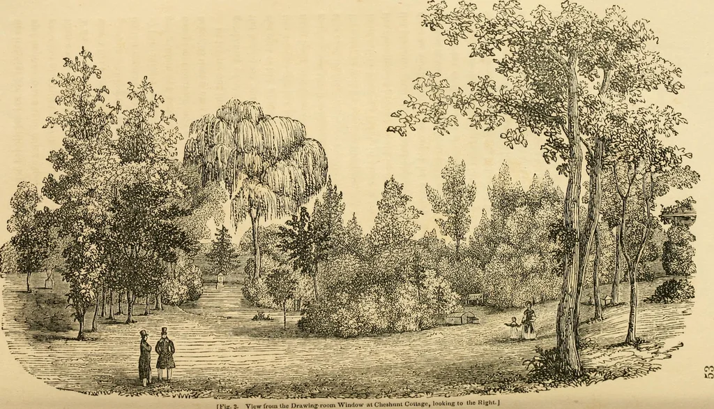 An illustration from A treatise on the theory and practice of landscape gardening, adapted to North America; with a view to the improvement of country residences. Comprising historical notices and general principles of the art, directions for laying out grounds and arranging plantations, the description and cultivation of hardy trees, decorative accompaniments to the house and grounds, the formation of pieces of artificial water, flower gardens, etc. with remarks on rural architecture .., 1841, leaf 428