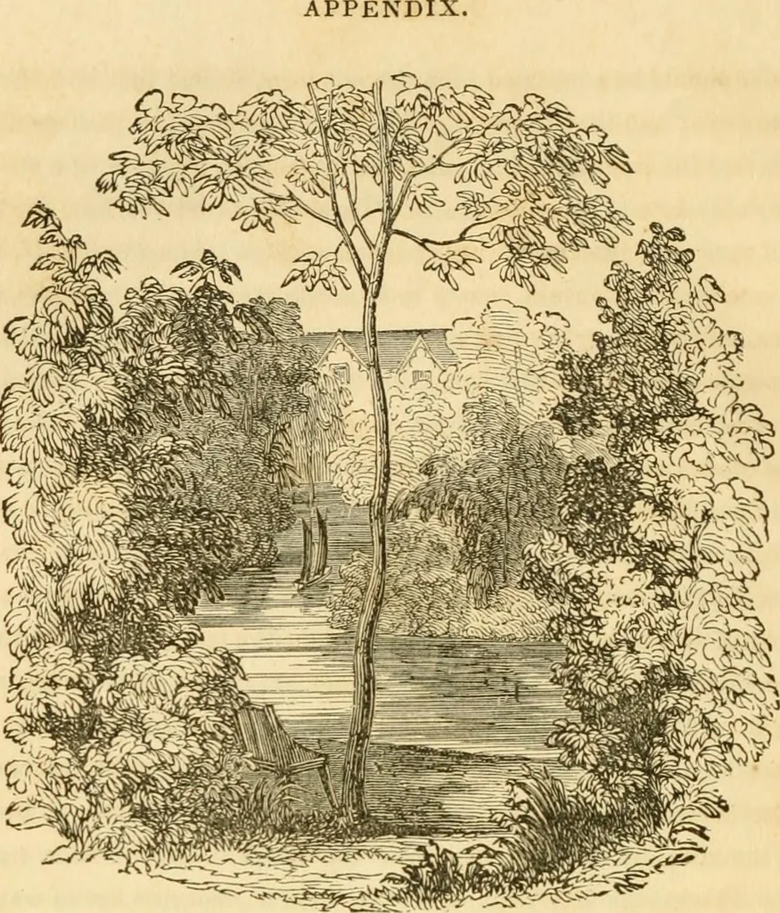 An illustration from A treatise on the theory and practice of landscape gardening, adapted to North America; with a view to the improvement of country residences. Comprising historical notices and general principles of the art, directions for laying out grounds and arranging plantations, the description and cultivation of hardy trees, decorative accompaniments to the house and grounds, the formation of pieces of artificial water, flower gardens, etc. with remarks on rural architecture .., 1841, leaf 461